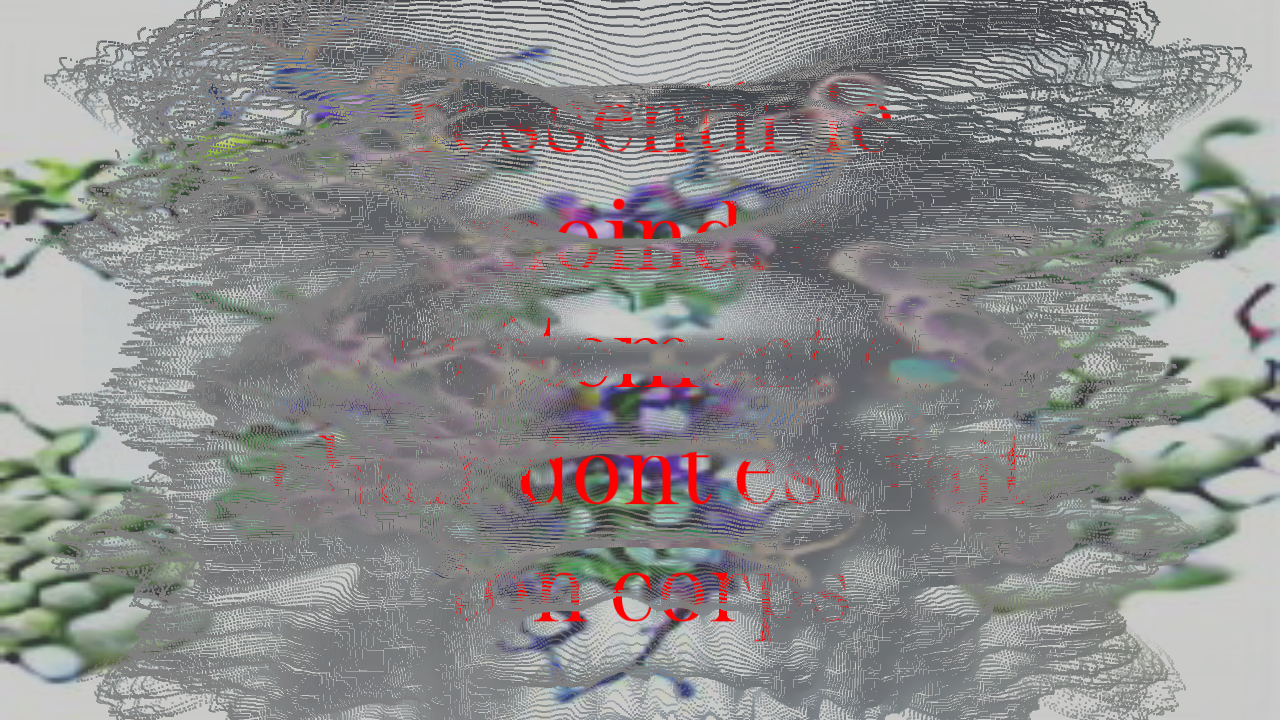 IMAGE NOT LOADED